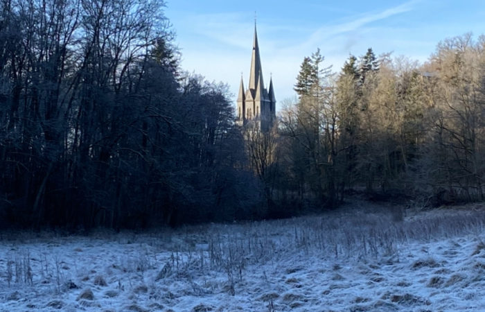Im Vordergrund eine von Frost bedeckte Wiese. Im Hintergrund zeigt sich die Spitze des Klosterturms.