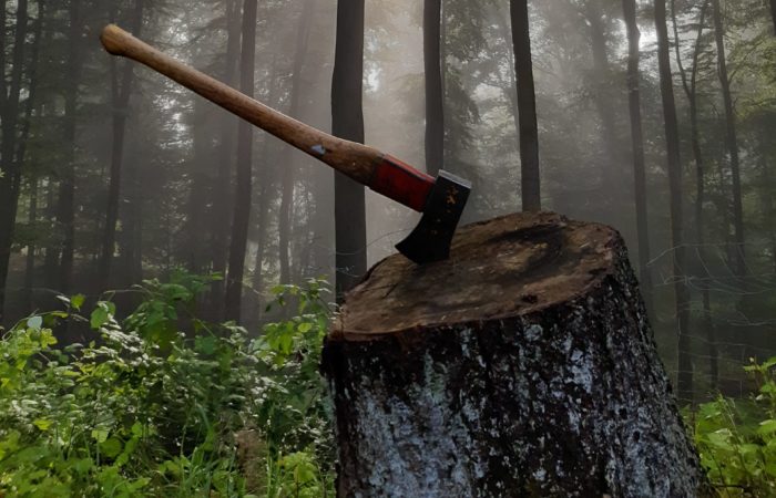 Im Vordergrund steckt eine Axt in einem Baumstamm. Im Hintergrund ist ein in leichtem Nebel gehüllter Wald.