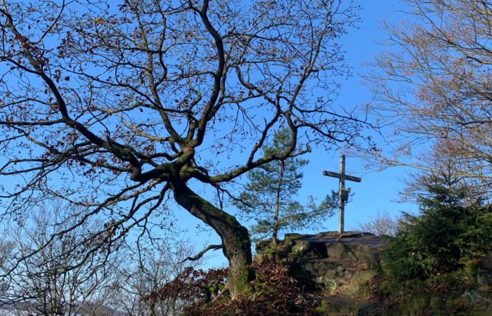 Großer, knorriger Baum neben einem Holzkreuz auf einem felsigen Hügel.